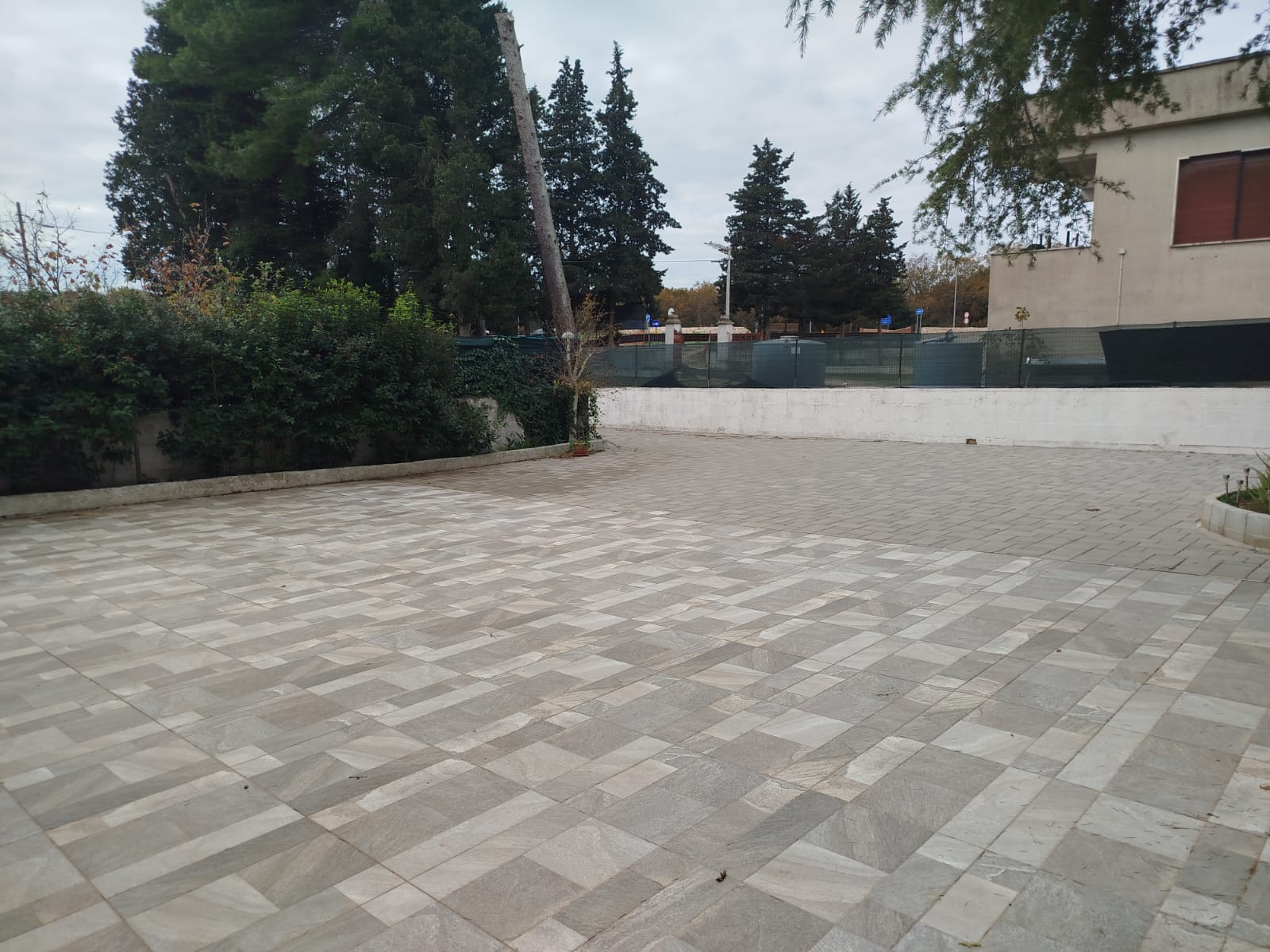 IMG-20250113-WA0079